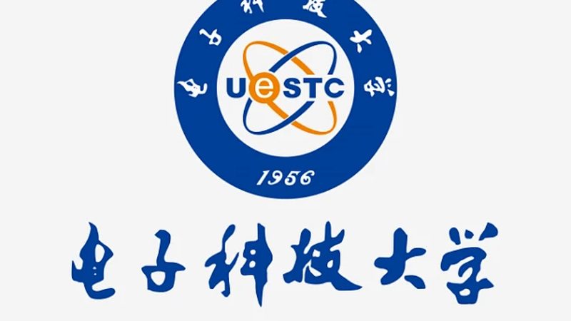 贴片插件与插件哪个更划算？揭秘成本背后的秘密