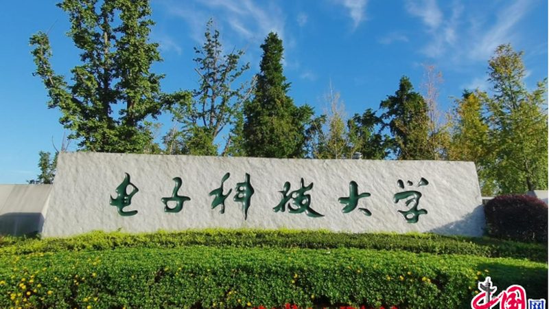 二极管正负极识别：实用技巧与误区解析**